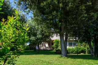 Villa Marisa - Fregene - 4