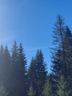 Planinska kuća Mali raj - Jahorina - 7