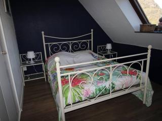 Duplex T3 à Luchon - 6 pers, télécabine, parking, wifi - FR-1-313-164 - 6