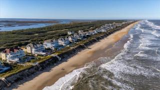 Heels in the Sand - Sanderling - 4