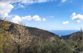 Nice Home In Fraz Alpicella, Varaz - 2