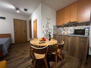 Z3 Studio - Kopaonik - 6