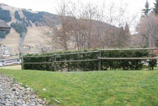 Les grizzlis sur les pistes piscine tennis pétanque. - Les Gets - 7
