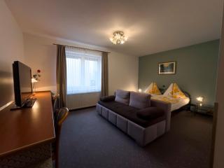 Pension Erlaa - Vienne - 1