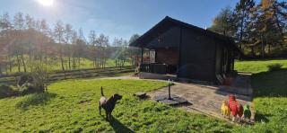 Blockhaus am Waldrand - Erbach - 1