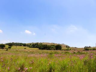 Jodev Farmstay - 1