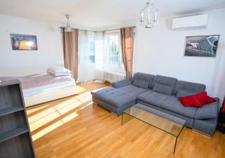 Charmant appartement avec terrasse dans villa - Strasbourg - 4