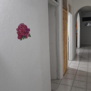 Abigail Diamond 2 bedroom apt Near Nanny Cay marina - Hannah - 6