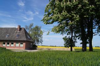 Landhaus mit Kamin, eingezäuntem Garten und Gutshofsauna! - Rabenholz - 0
