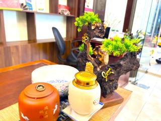 TNH Hotel Vung Tau - Vung Tau - 4
