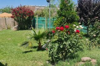 La cabaña de Mara y Beto - 4