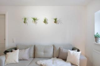 Alsfelder Wein-Suite - Alsfeld - 8