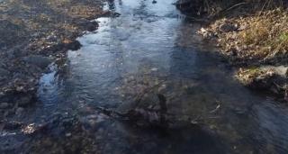 Tilava River - Tilava - 5