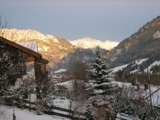 Blanz - Ferienwohnungen im Allgäu - Bad Hindelang - 3