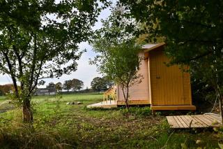 Hüttchen ganzjährig nutzbar mit Kamin&Sauna - Dargun - 4