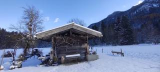 Hansenbauernhof inkl. Chiemgaukarte - Ruhpolding - 9