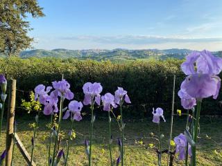 Relais Casamassima - 7