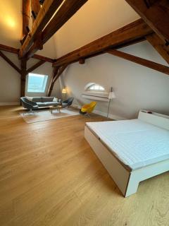 Luxus-Penthouse in Heidelberg - Heidelberg - 6