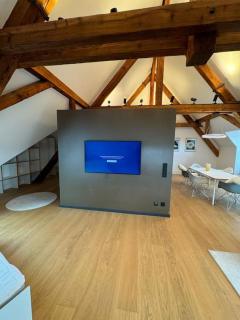 Luxus-Penthouse in Heidelberg - Heidelberg - 3