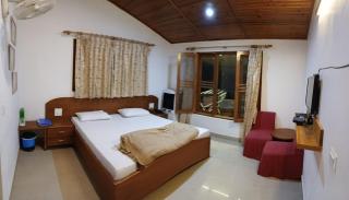 Experto The Greens - 8