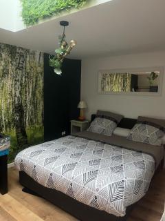 Appartement centre ville Calais Ines - Calais - 5