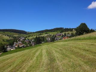 Haus Schöneck - Todtnauberg - 3