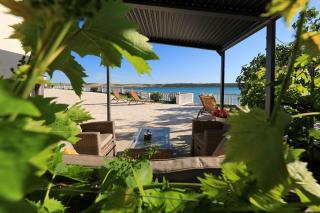 Rose - Zadar - 9