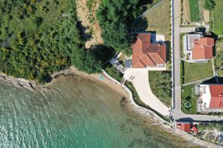 Rose - Zadar - 2