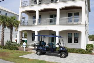 Gray Whale - Destin - 4