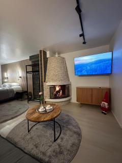 Cityview Studio - Inari - 6