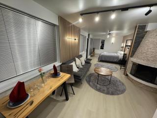 Cityview Studio - Inari - 9