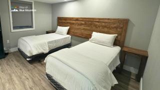 Orchard Run Chalet - Blue Mountains - 4