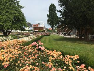 Hotel Rosengarten - Bad Salzuflen - 4