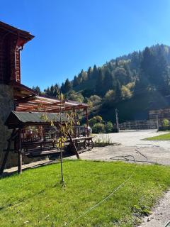 Pensiunea Moeciu Casa Wiarusti - 4