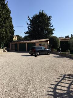 Cigales sous oliviers - Mouriès - 1