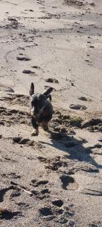 La casina di Adina - 2