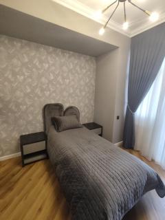 Private Appt in White Tower - Baku - 3
