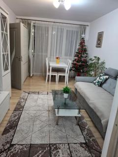 Apartament Ultra Central Marly Gura Humorului - 6