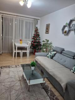 Apartament Ultra Central Marly Gura Humorului - Gura Humorului - 9
