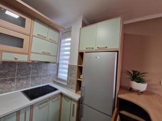 Lucky Clover - Novi Sad - 1