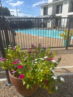 Harmony Home - Dallas - 9