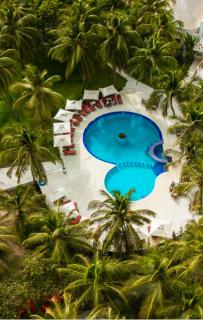 Les Hibiscus sur Mer - Kabrousse - 9