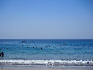 Luxury Canarian villa with large pool and guesthouse - Teguise - 5