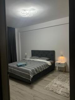 Adela Luxury House - Craiova - 9
