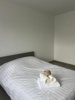 Appartement moderne et spacieux avec terrasse privée 1 - Carbon-Blanc - 5