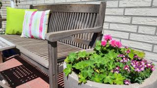 4 Sterne Ferienhaus Marlene mit großem Garten - Bad Zwischenahn - 5