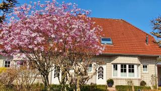 4 Sterne Ferienhaus Marlene mit großem Garten - Bad Zwischenahn - 9