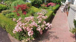 4 Sterne Ferienhaus Marlene mit großem Garten - Bad Zwischenahn - 6