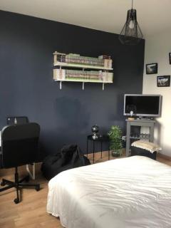 appartement indépendant dans jardin privé - Rezé - 4