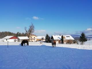 Ponyhof Adam Urlaub auf dem Bauernhof - 9